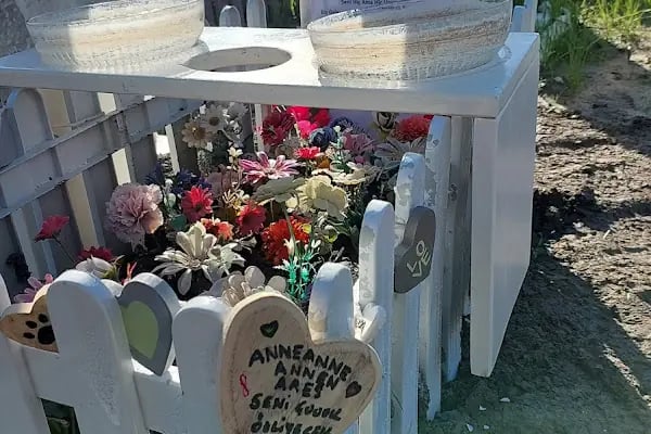 Bodrum Hayvan Mezarlığı - Resim 16
