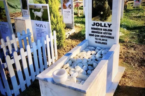 Bodrum Hayvan Mezarlığı - Resim 17