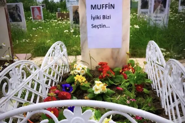 Bodrum Hayvan Mezarlığı - Resim 6