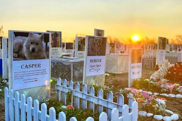 Bodrum Hayvan Mezarlığı - Resim 2