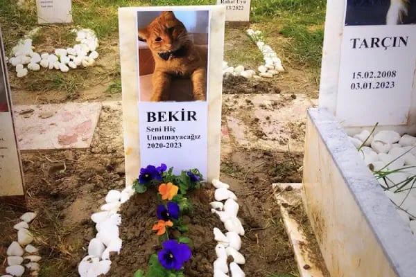 Bodrum Hayvan Mezarlığı - Resim 15