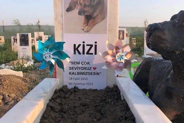 Bodrum Hayvan Mezarlığı - Resim 5
