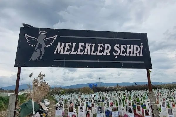 Bodrum Hayvan Mezarlığı - Resim 10