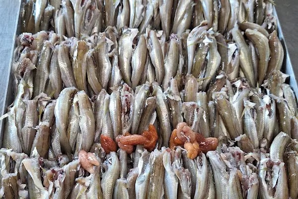 Köfteci Uğur - Resim 19