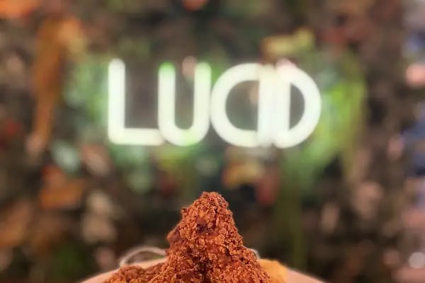 Lucid eatery coffee - Resim 8
