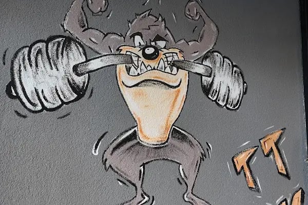 TT Gym - Resim 5