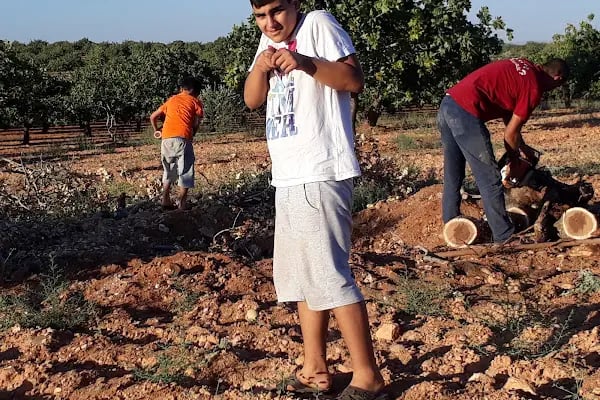Bozfırat Bağ Evi - Resim 4