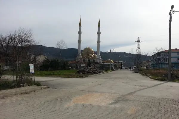 Mevlana Cami - Resim 12