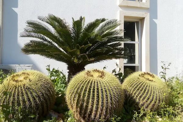 Bodrum Belediyesi Nurol Kültür Merkez - Resim 5