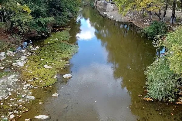 Zeytinli Kır Düğün Salonu - Resim 10