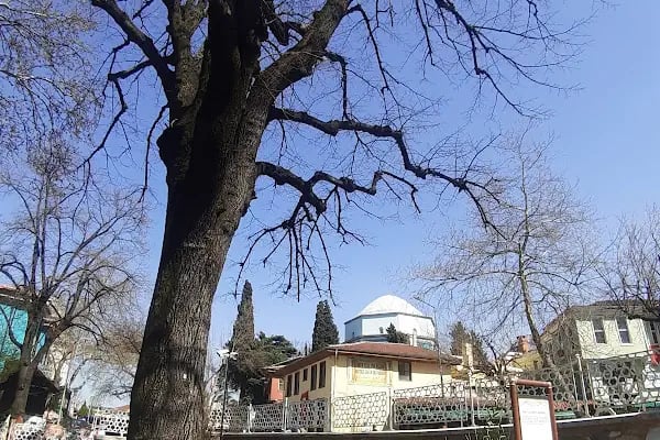 Yeşil (Sultaniye) Medresesi - Resim 18