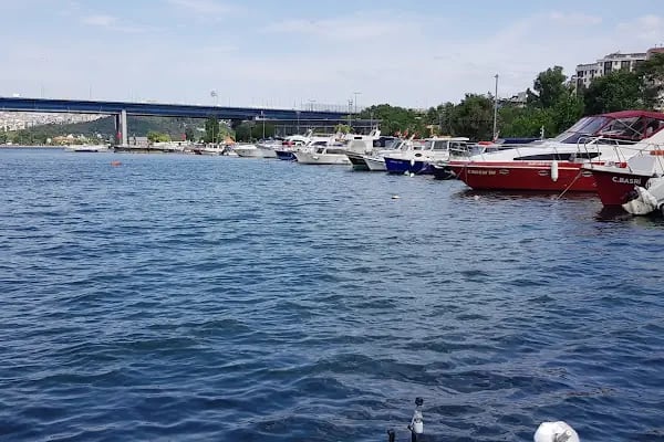Hasköy Spor Kulübü Tesisleri - Resim 15