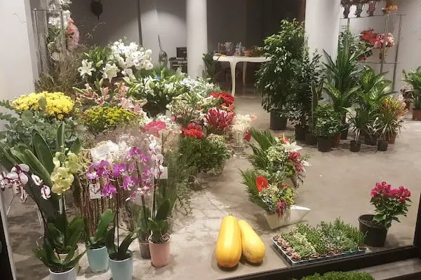 AWCI FLOWERS - Resim 11