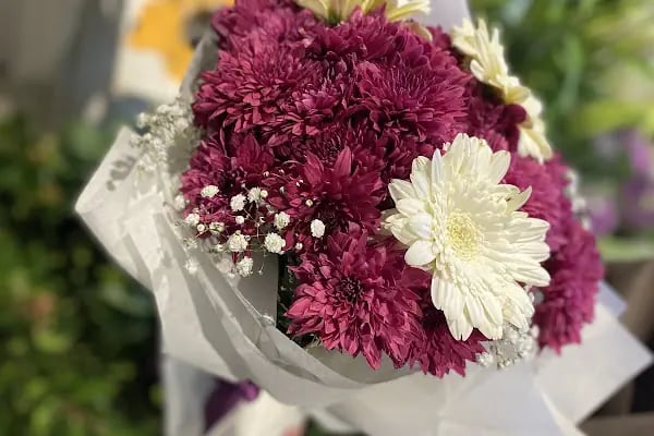 AWCI FLOWERS - Resim 14