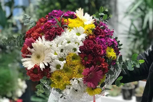 AWCI FLOWERS - Resim 10