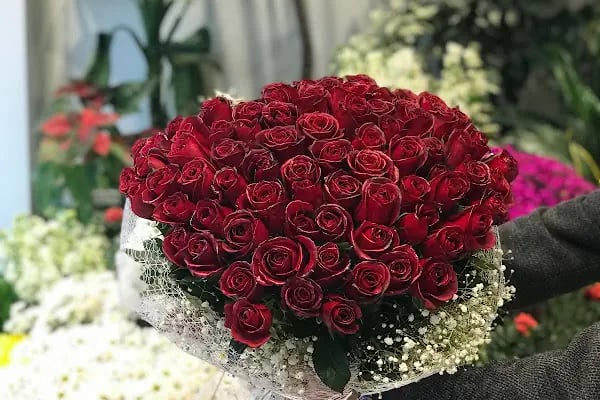 AWCI FLOWERS - Resim 16
