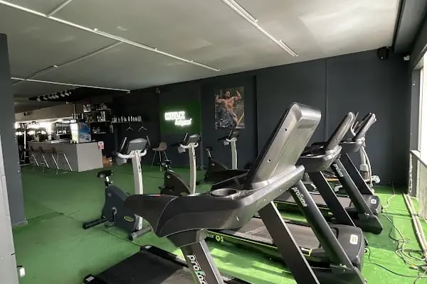 Hulk Gym Premium - Resim 7