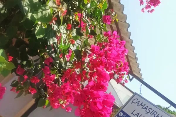 Çamaşırhane / Laundry 🧿 - Resim 4