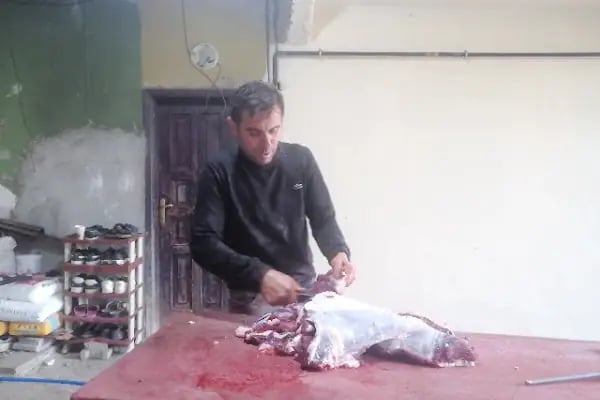 Satılmış uğur besiciliği - Resim 15