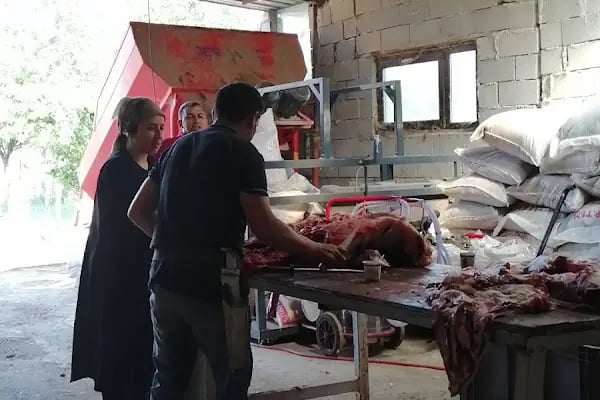 Satılmış uğur besiciliği - Resim 6