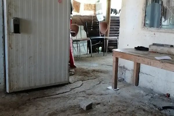 Satılmış uğur besiciliği - Resim 5