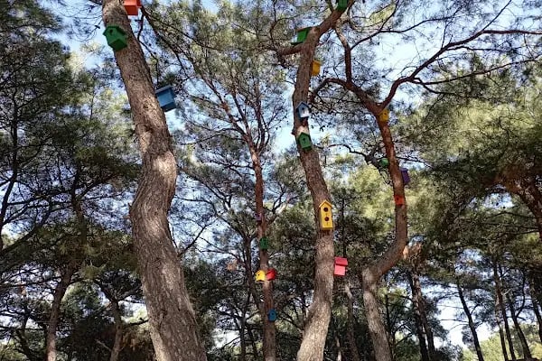 Konak Belediyesi Aydın Erten Rekreasyon Alanı - Resim 19