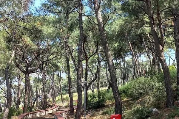 Konak Belediyesi Aydın Erten Rekreasyon Alanı - Resim 3