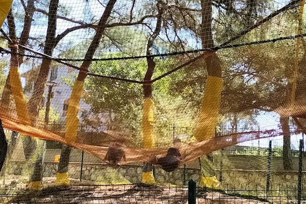 Konak Belediyesi Aydın Erten Rekreasyon Alanı - Resim 13