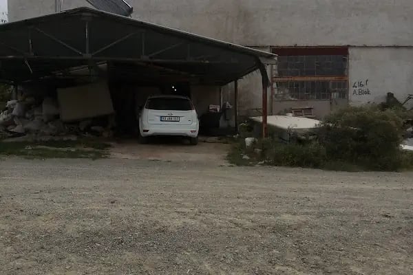 ALTINKUŞ KEÇE - Resim 1