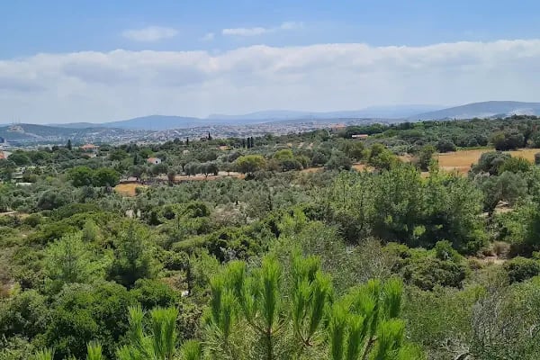 Mamur Baba Türbesi - Resim 10
