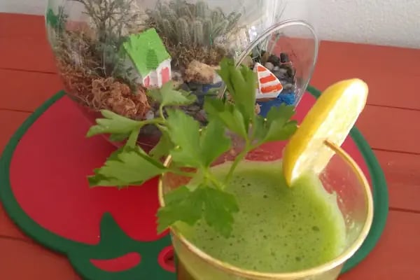 Detox form - Resim 4