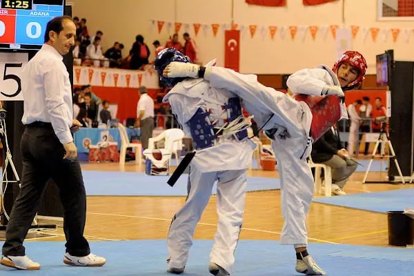 Burhaniye Olimpik Gençlik Spor Klübü - Resim 1