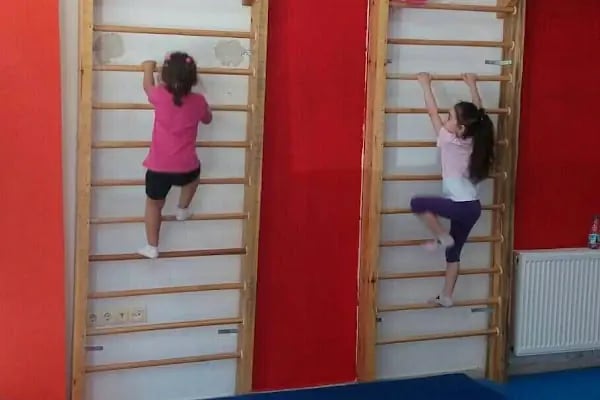 Burhaniye Olimpik Gençlik Spor Klübü - Resim 11