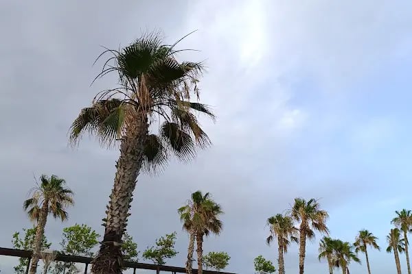 Mersin Akdeniz milli tabiat parki - Resim 2