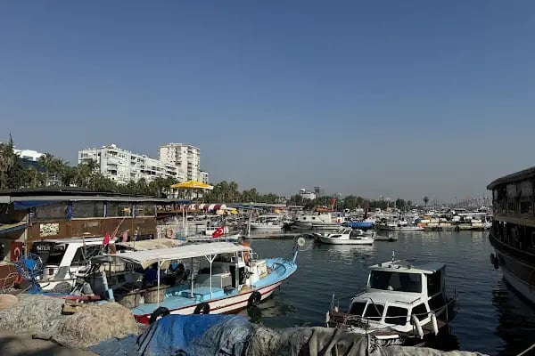 Mersin Akdeniz milli tabiat parki - Resim 3