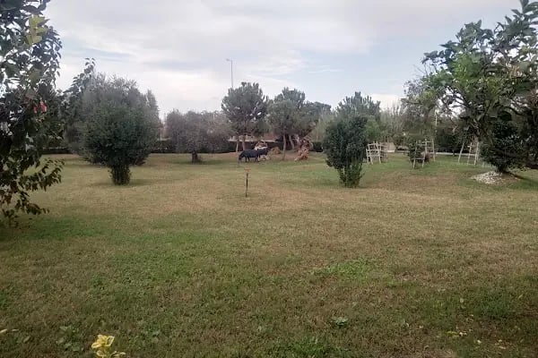 Aksu Belediye - Resim 15