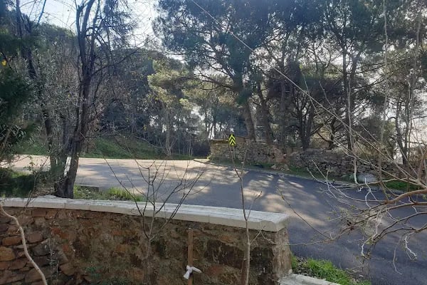 Mustafa Halveti Türbesi - Resim 18