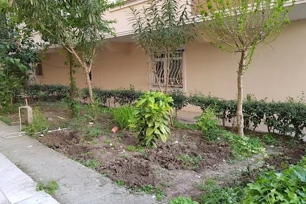 Usaş - Resim 13