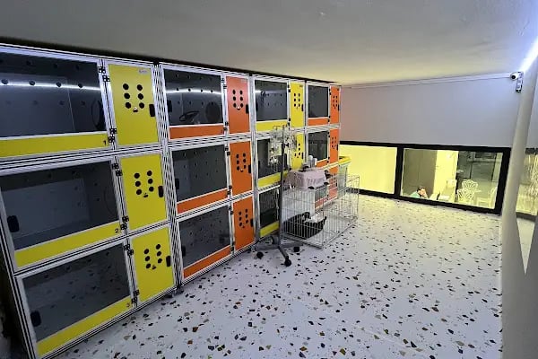 Ataşehir CatFather Veteriner Kliniği - Resim 2