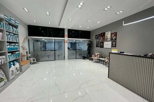 Ataşehir CatFather Veteriner Kliniği - Resim 17