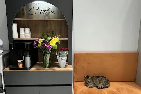 Ataşehir CatFather Veteriner Kliniği - Resim 6