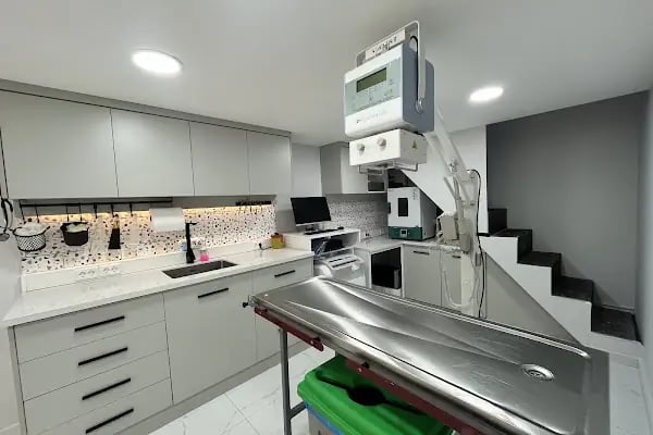 Ataşehir CatFather Veteriner Kliniği - Resim 3