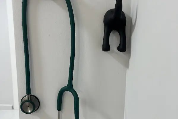 Ataşehir CatFather Veteriner Kliniği - Resim 9