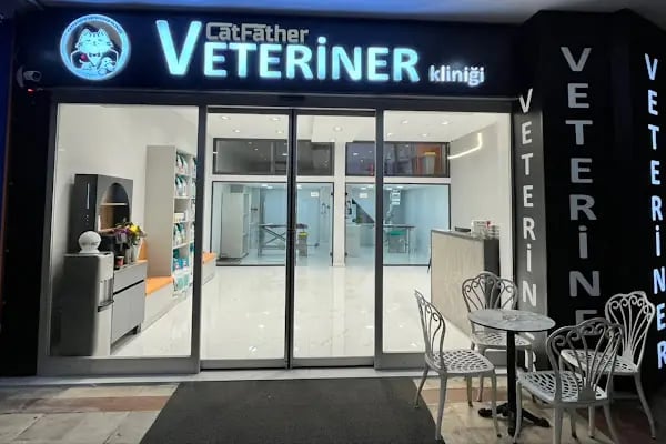 Ataşehir CatFather Veteriner Kliniği - Resim 14