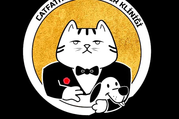 Ataşehir CatFather Veteriner Kliniği - Resim 15