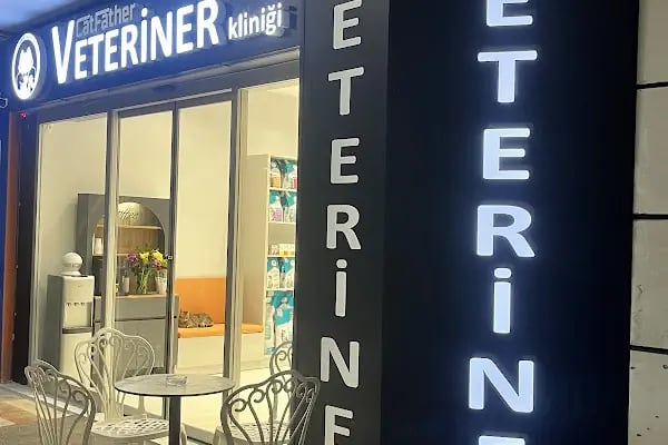 Ataşehir CatFather Veteriner Kliniği - Resim 12