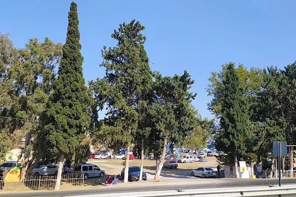 Ayaş Mersin Halk Plajı - Resim 8
