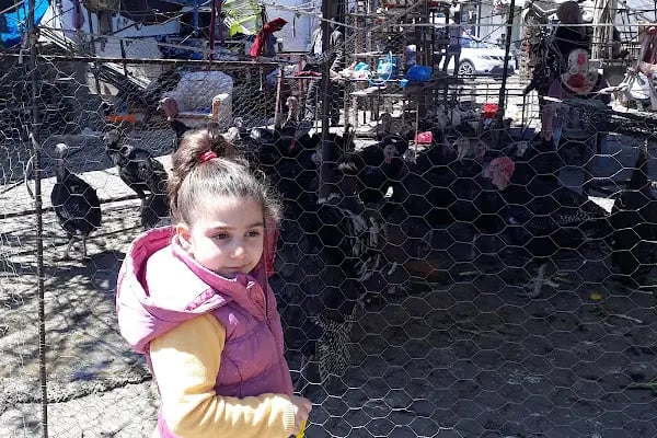 EKİN TARIM TOHUM VE ZİRAİ İLAÇ - Resim 5