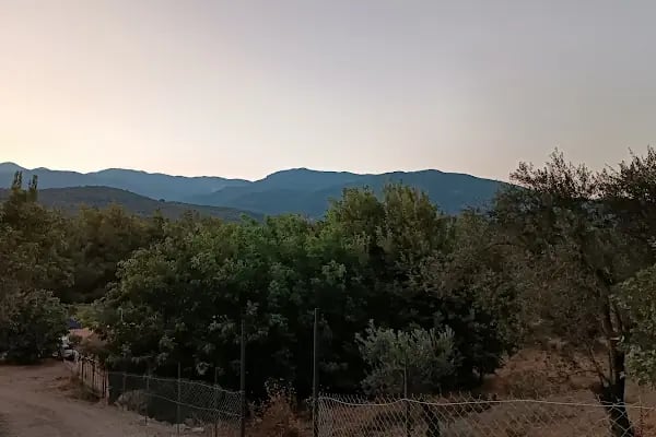 KAZDAĞI KAMP - Resim 19
