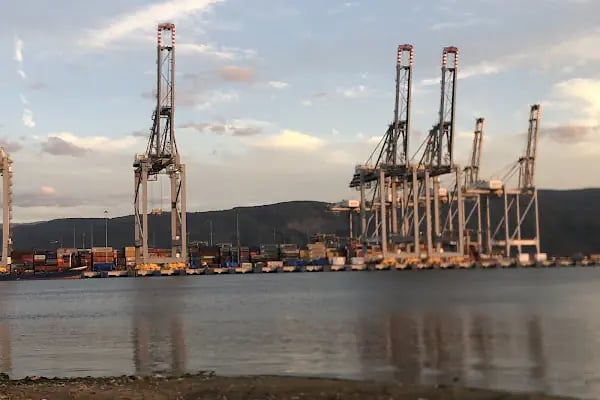 DP World Yarimca - Resim 3